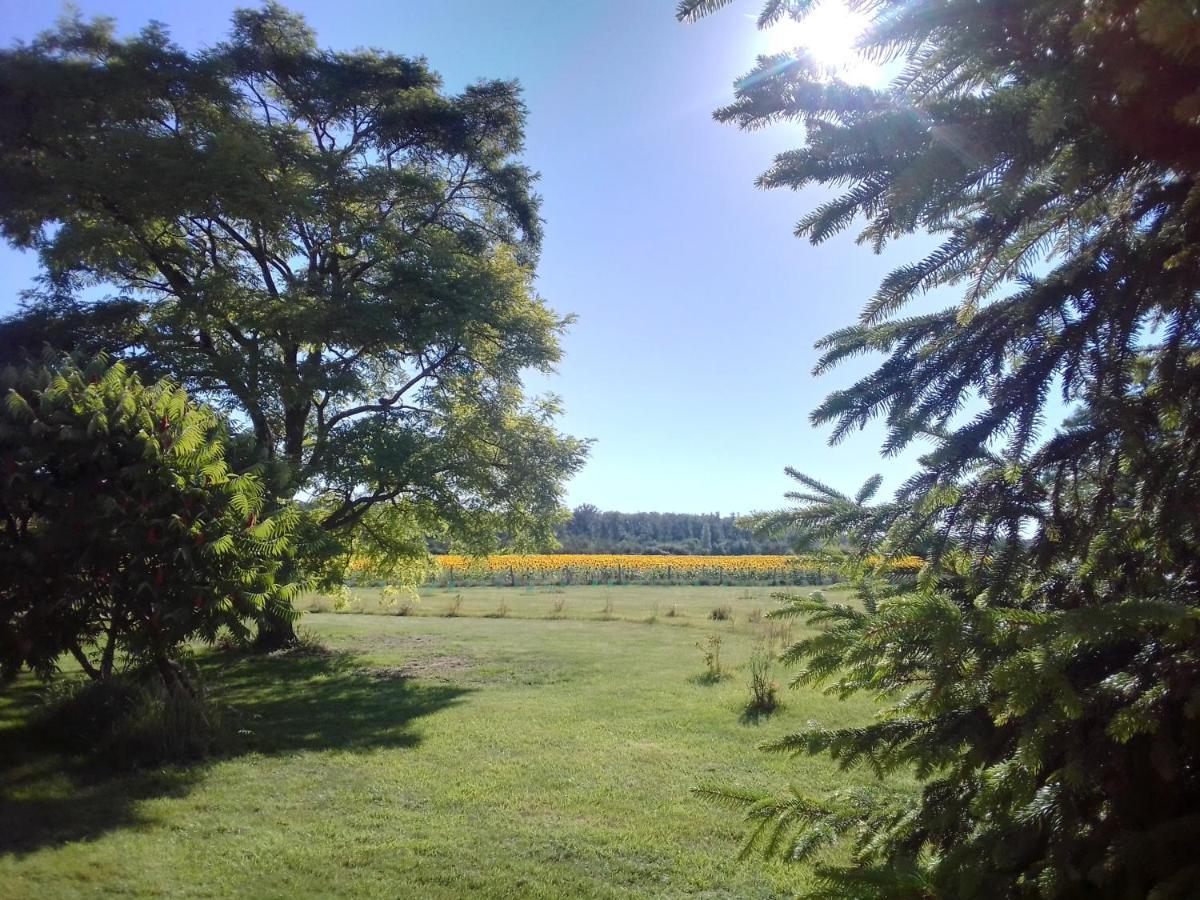 Villa Au Repos Des Elfes Braye-sous-Faye Exterior foto