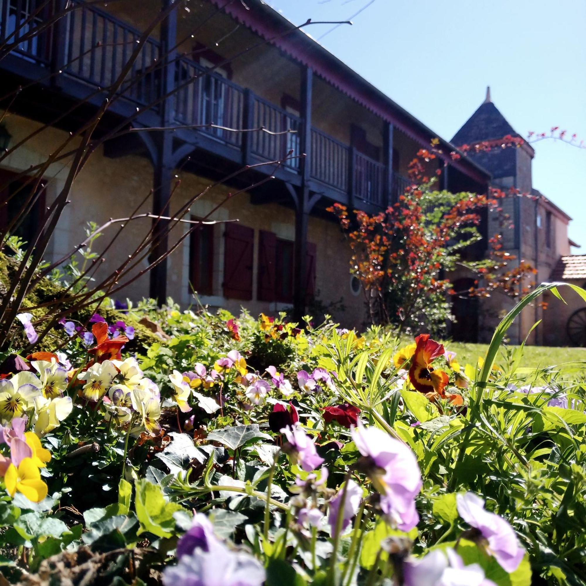 Villa Au Repos Des Elfes Braye-sous-Faye Exterior foto